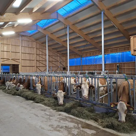 Loitzbauer Appartement