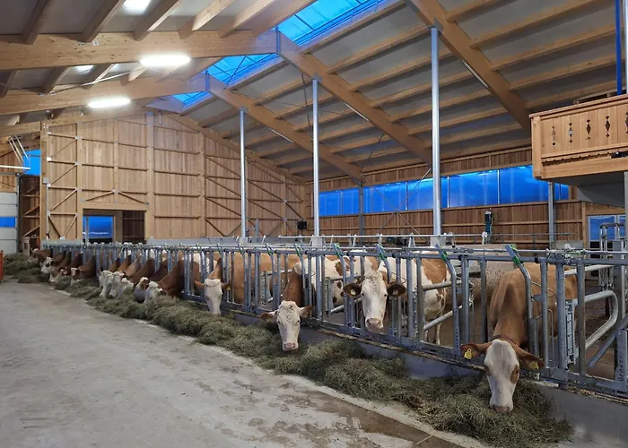 Loitzbauer Appartement