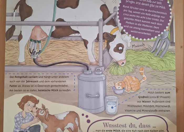 Appartement Loitzbauer